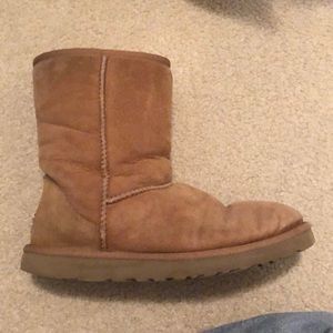 Chestnut uggs